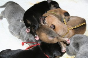 IMG_5277 (1280x853) (1280x853)