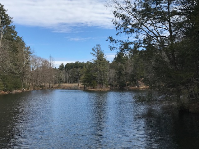 Hawkins Pond