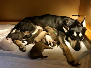 F9722C1B-760A-4D76-9FCD-111DF42D28D1